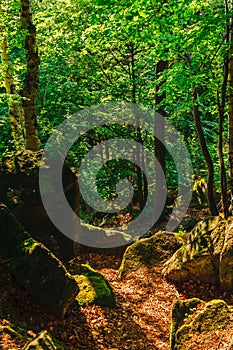 Path leading down the hill